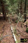 SDAG Wismut Stollen 4, Grubenfeld 98 (Tannenbaum) bei Crandorf nahe Schwarzenberg, Erzgebirge, Sachsen, (D) (9) 24. September 2013 Schurfgraben.JPG